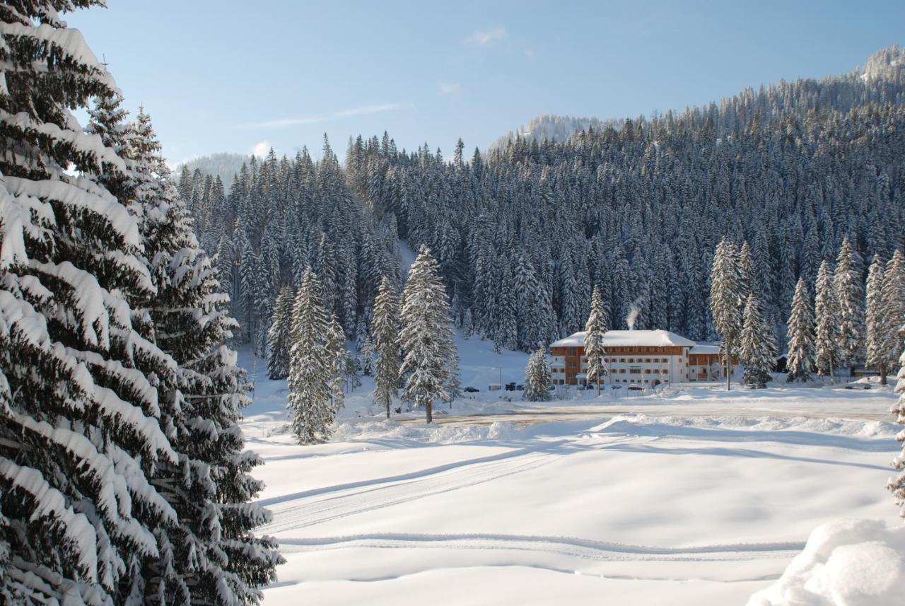 Hostel Blsv Sportcamp Direkt Am Kurvenlift